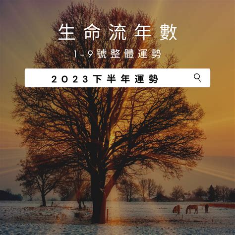 2023生命靈數流年2|2023下半年「生命靈數桃花運勢」公開！2號要多參加聚會、9號。